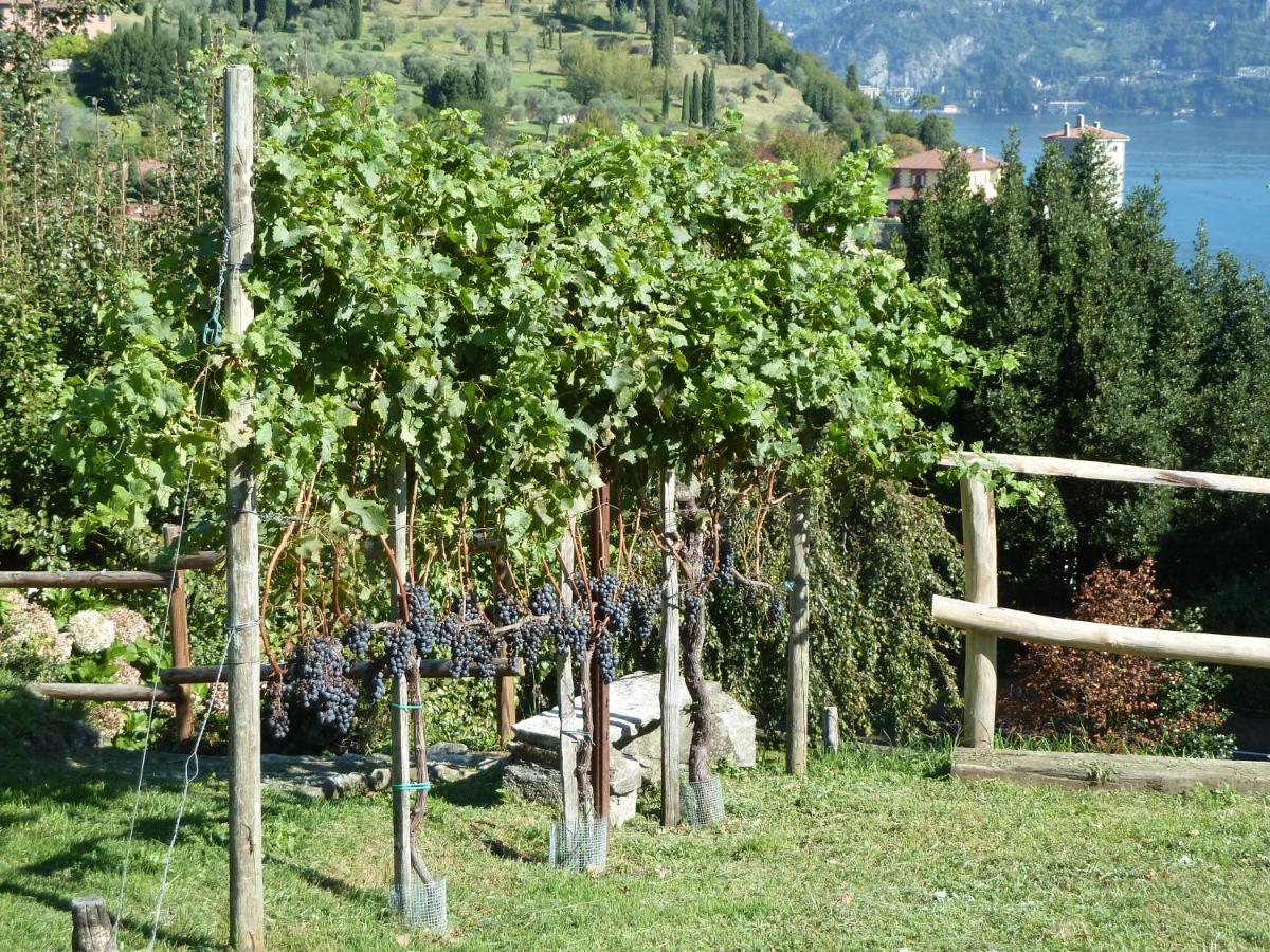 Bellagio Il Crotto Villa Exterior photo