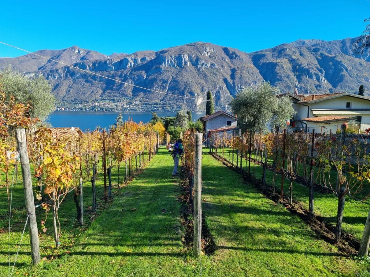 Bellagio Il Crotto Villa Exterior photo