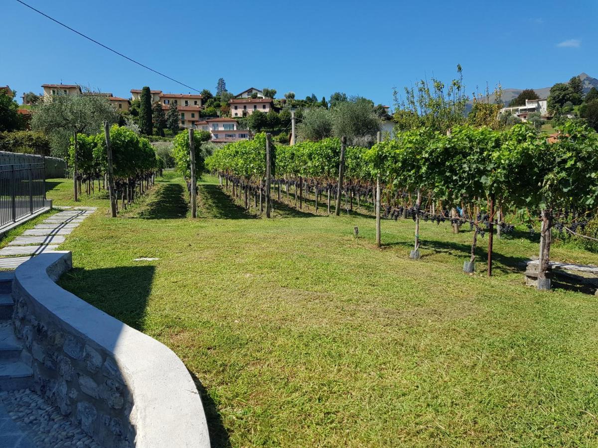 Bellagio Il Crotto Villa Exterior photo