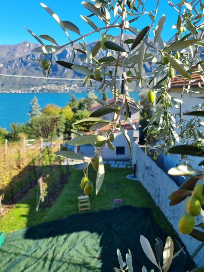 Bellagio Il Crotto Villa Exterior photo